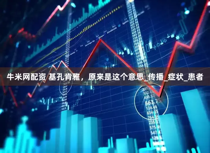 牛米网配资 基孔肯雅，原来是这个意思_传播_症状_患者