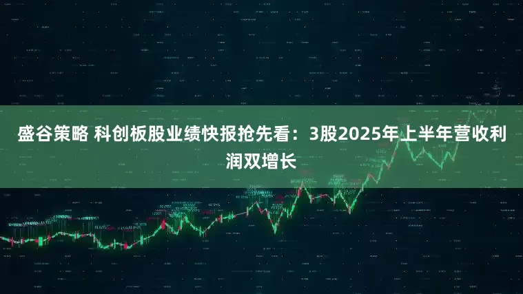 盛谷策略 科创板股业绩快报抢先看：3股2025年上半年营收利润双增长