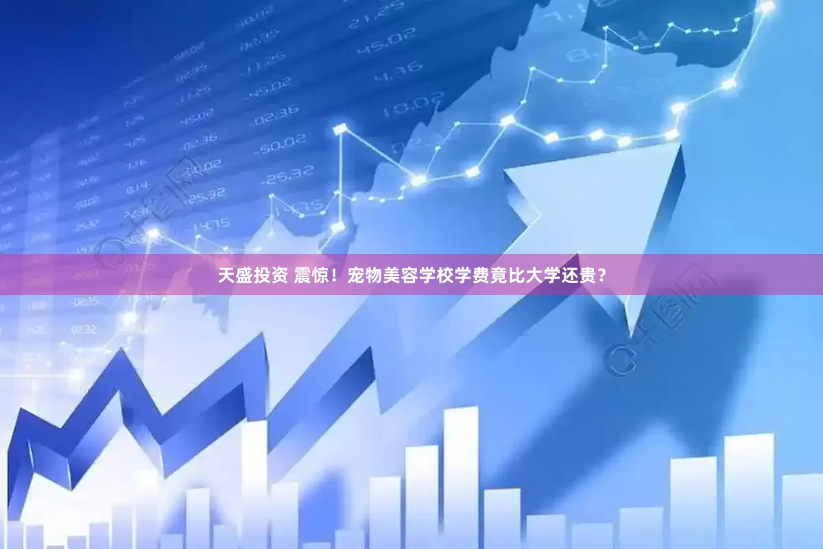 天盛投资 震惊！宠物美容学校学费竟比大学还贵？